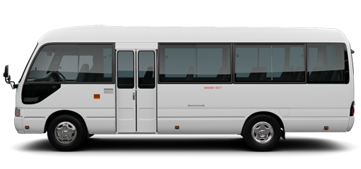 Buses